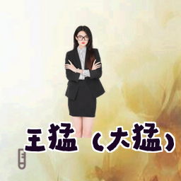 王猛 (大猛)